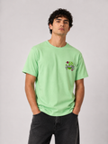 Polera Journeys