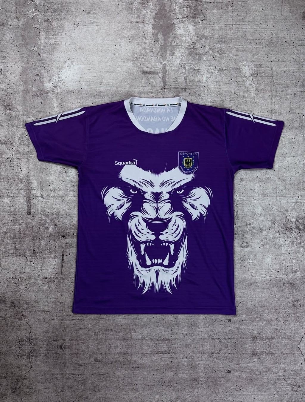 Camiseta Deportes Concepción