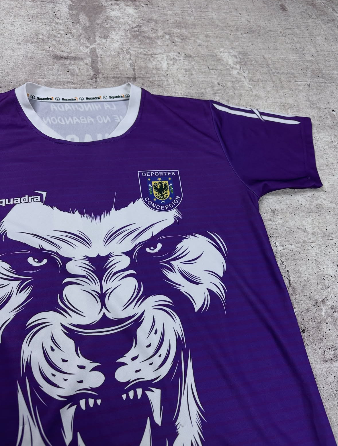 Camiseta Deportes Concepción