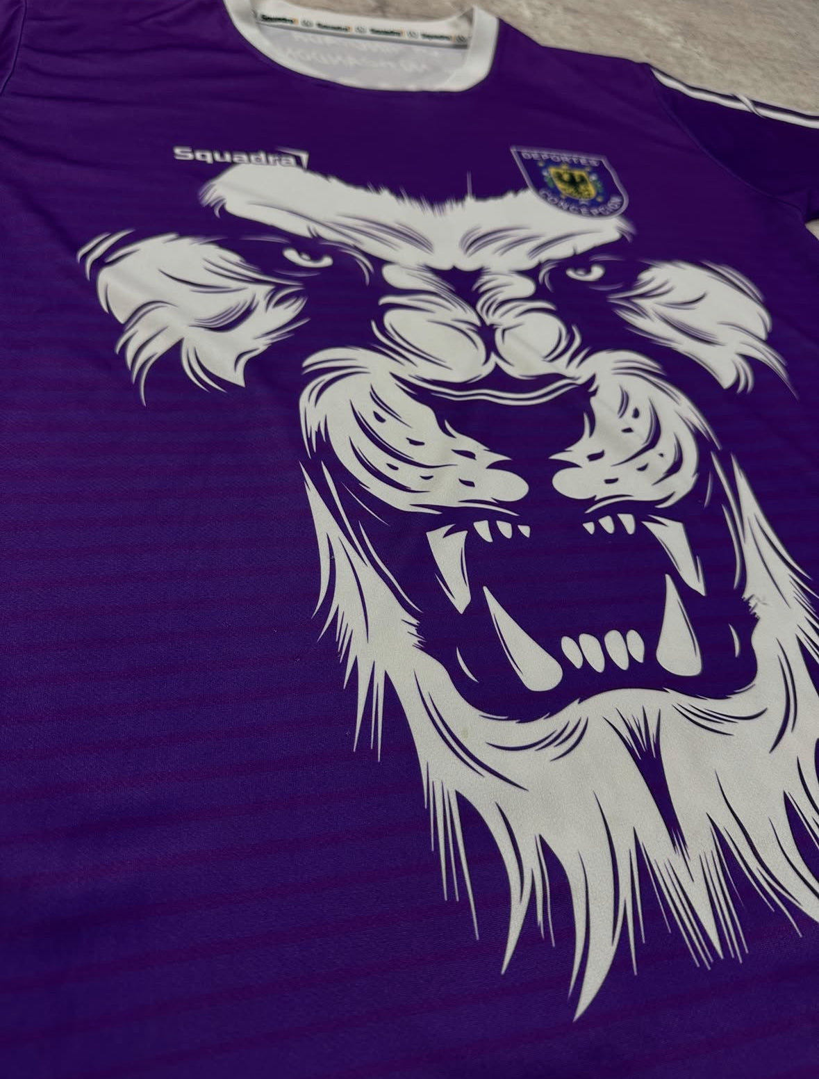 Camiseta Deportes Concepción